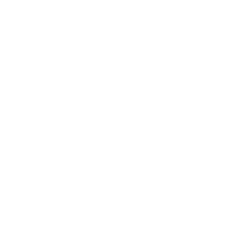 solo-logo-VF_bianco.png